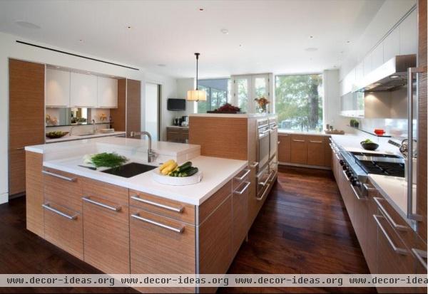 Elegant Contemporary Kitchen by Cheryl Hamilton-Gray