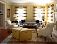 Elegant Transitional Living Room by Diane Paparo