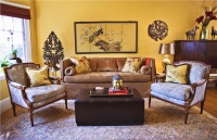 Homey Transitional Living Room by Claudia Juestel