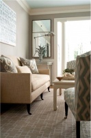 Cozy Transitional Living Room by Lauren Muse