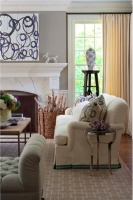 Homey Transitional Living Room by Lauren Muse