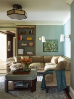 Homey Transitional Family Room by Gideon Mendelson