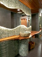 Dramatic Contemporary Bathroom by Lee Najman