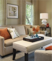 Classic Transitional Living Room by Rachel Reider