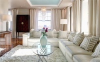 Sunny Contemporary Living Room by Katie Marvin & Shirley Strom