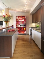 Elegant Contemporary Kitchen by Gail Shields-Miller