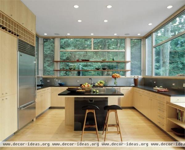 Elegant Contemporary Kitchen by Catarina Ferreira, AIA