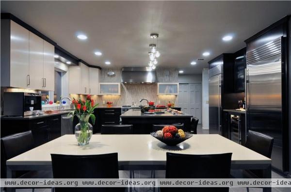 Elegant Contemporary Kitchen by Donald Hochheiser, CR of Kitchen Designs by Ken Kelly