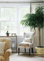 Light Transitional Living Room by Lauren Muse