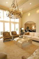 Open Transitional Living Room by Julie O'Brien