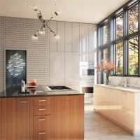 Sunny Contemporary Kitchen by Gabriel Benroth, Adam Rolston & Drew Stuart