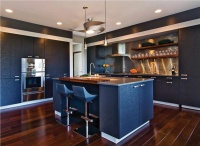 Dramatic Contemporary Kitchen by Tricia Bayer