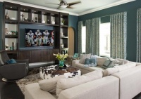 Homey Transitional Living Room by Rhonda Vandiver-White