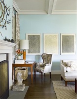 Light Transitional Living Room by Gideon Mendelson