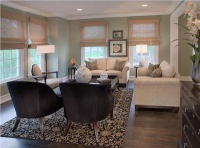 Elegant Transitional Living Room by Mary Antenucci