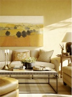 Sunny Transitional Living Room by Suzanne Tucker