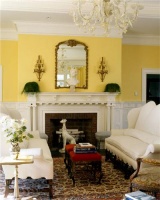 Elegant Traditional Living Room by Jody  Trail