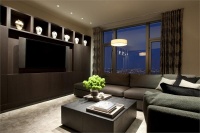 Dark Contemporary Media Room by Michael Abrams