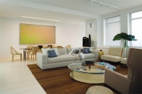 Light Contemporary Living Room by Gary Lee