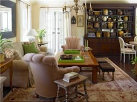 Homey Transitional Living Room by Susan Anthony