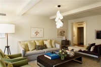 Airy Transitional Living Room by David Howell