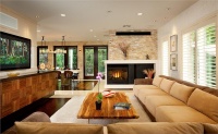 Light Contemporary Living Room by Lee Najman