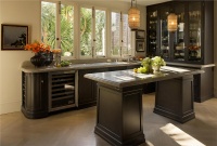 Elegant Contemporary Kitchen by Candace Barnes