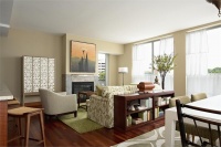 Sunny Transitional Living Room by Lisa Peck