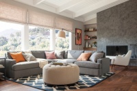 Marin Remodel - contemporary - living room - san francisco