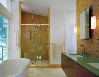 The Levine Group - contemporary - bathroom - dc metro