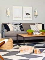 The Everygirl - contemporary - living room - chicago