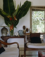 Tropical Decor