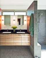 Dandelion House - contemporary - bathroom - austin