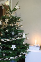 Christmas Tree -  - living room - amsterdam