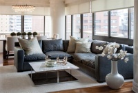 Light Transitional Living Room by amy lee