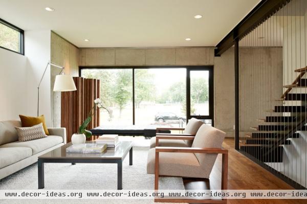 Edina House - modern - living room - minneapolis