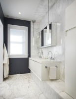 Hyde Park Victorian - modern - bathroom - chicago