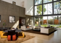 Ramchandani Residence - modern - living room - houston