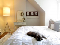 My Houzz: Woodsy retreat in Toronto - contemporary - bedroom - toronto