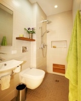 From Closet to Wet Bath - modern - bathroom - chicago