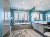 Kitchens and Baths for Interior Intuitions, Inc. - contemporary - bathroom - denver