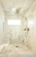 Master Shower - traditional - bathroom - los angeles