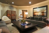 living room - modern - living room - other metro