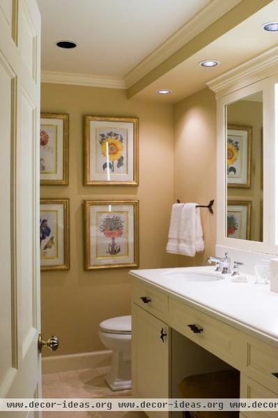 Hall Bath - traditional - bathroom - omaha