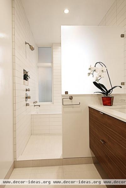 Noe Valley Residence - tropical - bathroom - san francisco