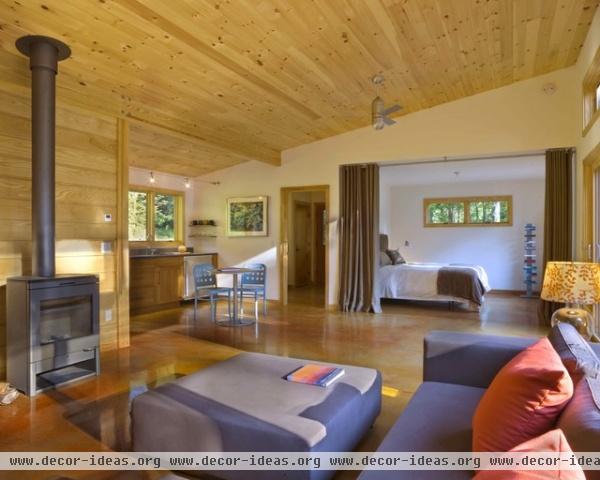 Modern Cabin - modern - living room - burlington