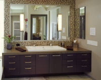 Organic Inspirations - contemporary - bathroom - los angeles