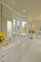 Bayou Oaks - traditional - bathroom - other metro