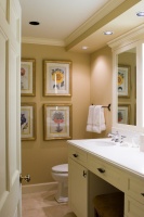 Hall Bath - traditional - bathroom - omaha