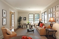 Classical Twist: A Modern Townhouse with Traditional Reference - traditional - living room - san francisco